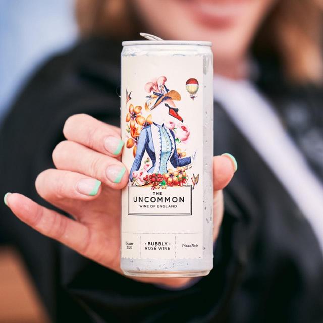 The Uncommon Bubbly Rose 250ml GOODS M&S