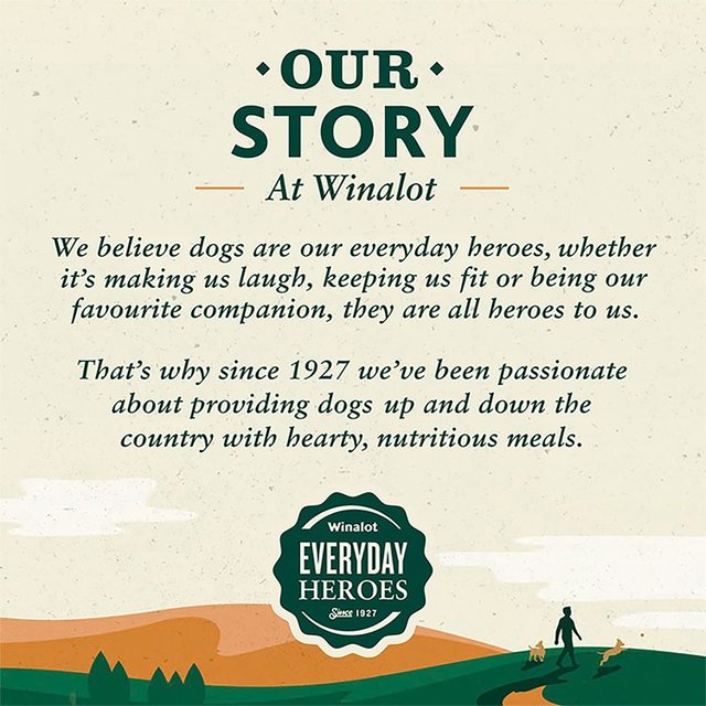 Winalot Meaty Chunks Senior Mixed in Gravy Wet Dog Food 12 x 100g GOODS M&S