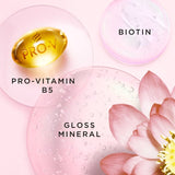 Pantene Miracles Colour Gloss Shampoo 400ml - McGrocer