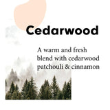 Wilton London Eco Non Bio Laundry Liquid Cedarwood 1L GOODS M&S