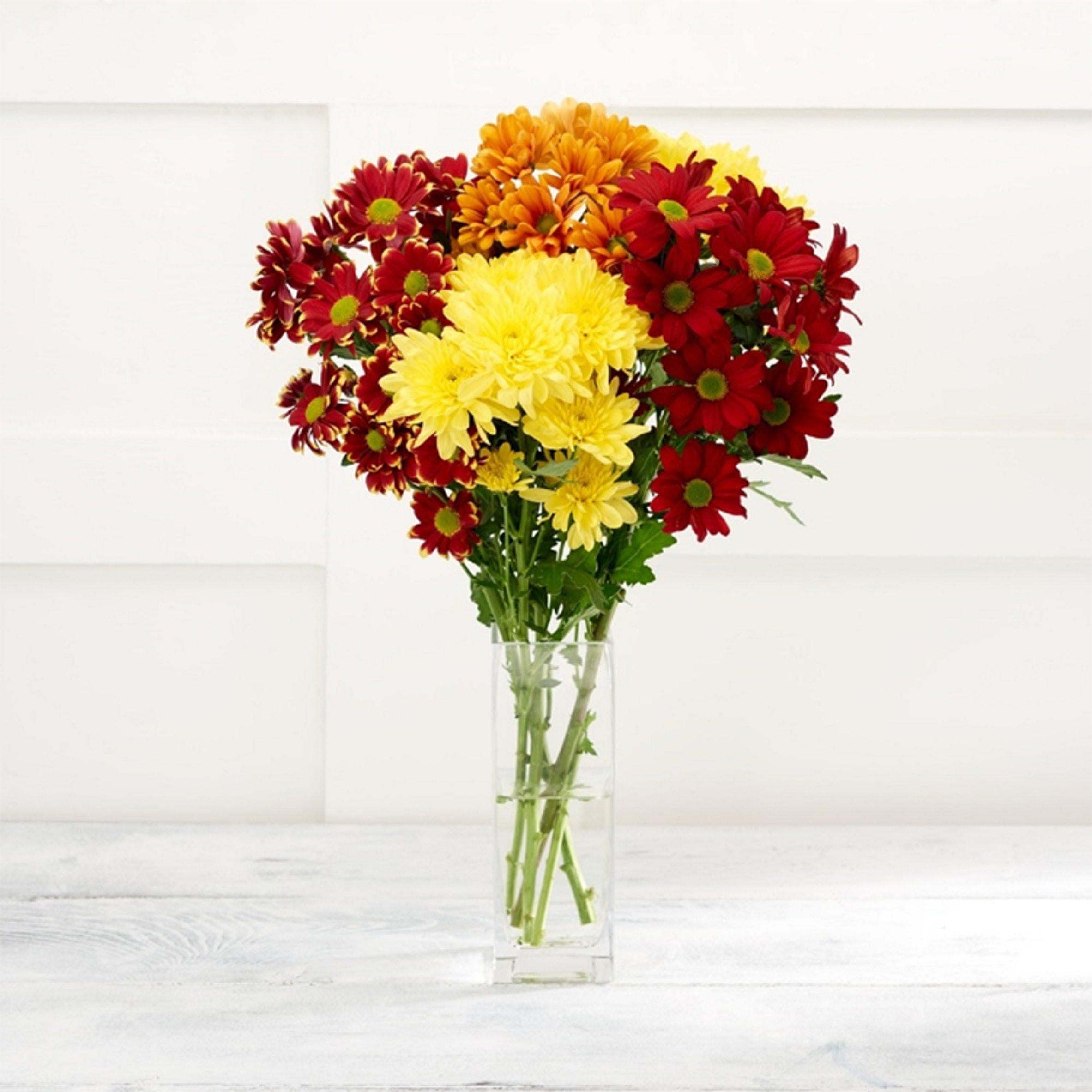 Yellow Chrysanthemum GOODS Sainsburys