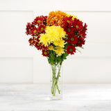 Yellow Chrysanthemum GOODS Sainsburys