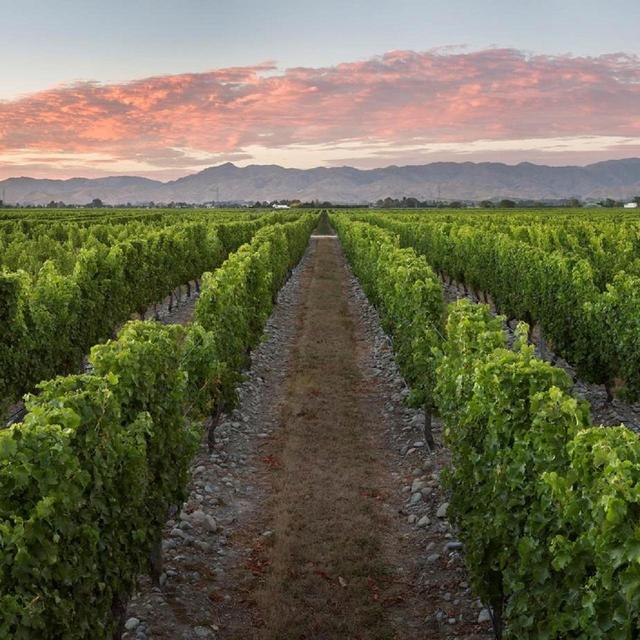 Stoneleigh Marlborough Sauvignon Blanc 75cl GOODS M&S