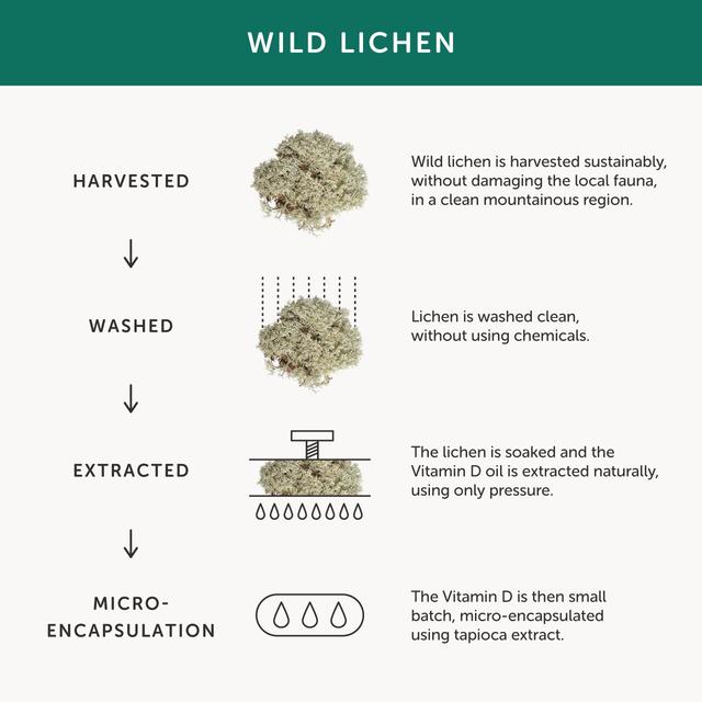 Together Menopause Supplement 60 per pack GOODS M&S