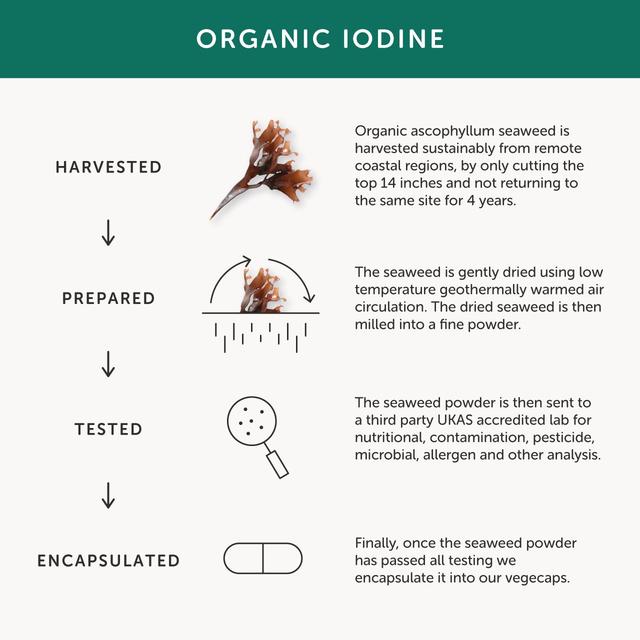 Together Organic Seaweed Iodine Supplement 30 per pack GOODS M&S