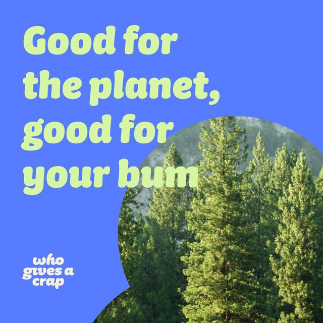 Who Gives A Crap 100% Recycled Toilet Paper 6 per pack GOODS M&S