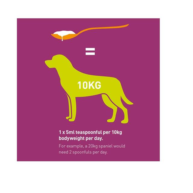 Vets Kitchen Healthy Skin Supplement For Dogs   300ml GOODS M&S