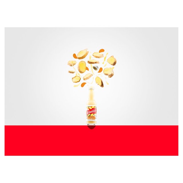 Tarantella Organic Liquid Ginger 40ml GOODS M&S