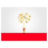 Tarantella Organic Liquid Ginger 40ml GOODS M&S