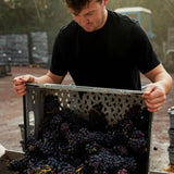 The Uncommon English Bubbly Rose Multipack 4 x 250ml GOODS M&S