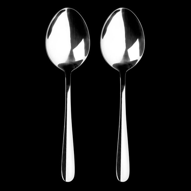 Tala Performance Stainless Steel Serving Spoons - set of 2 GOODS M&S