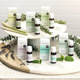 Superdrug Habitual Pure Rosemary Essential Oil 10ml GOODS Superdrug