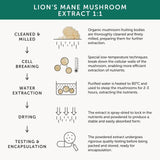 Together Health Organic Lion's Mane Mushroom 60 per pack GOODS M&S