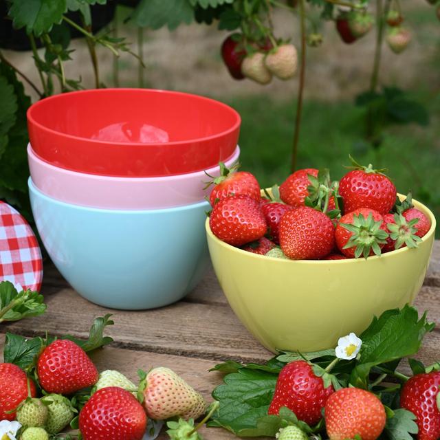 Summerhouse Strawberries & Cream Set of 4 Reusable Bowls 4 per pack GOODS M&S