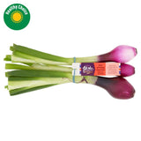 Sainsburys Red Spring Onions Taste the Difference