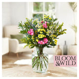 Bloom Wild The Wildflower Blooms