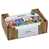 Sainsburys Bees Butterflies Collection