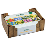 Sainsburys All Spring Flowering Collection