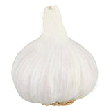 Sainsburys Garlic