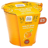 Sainsburys Little Ones Garden Easy to Grow Crunchy Carrots 5 Years