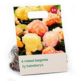 Sainsburys Begonia Double Bulbs