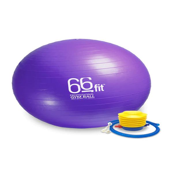 66fit Exercise Balls 60cm - Silver - McGrocer
