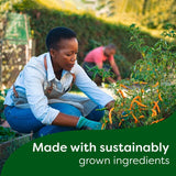 Knorr 8 Vegetable Zero Salt Stock Cubes   72g - McGrocer