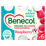 Benecol No Added Sugar Raspberry Yogurt Drink 6 x 67.5g (405g) - McGrocer