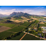 Babylonstoren Babel Red Blend 75cl - McGrocer