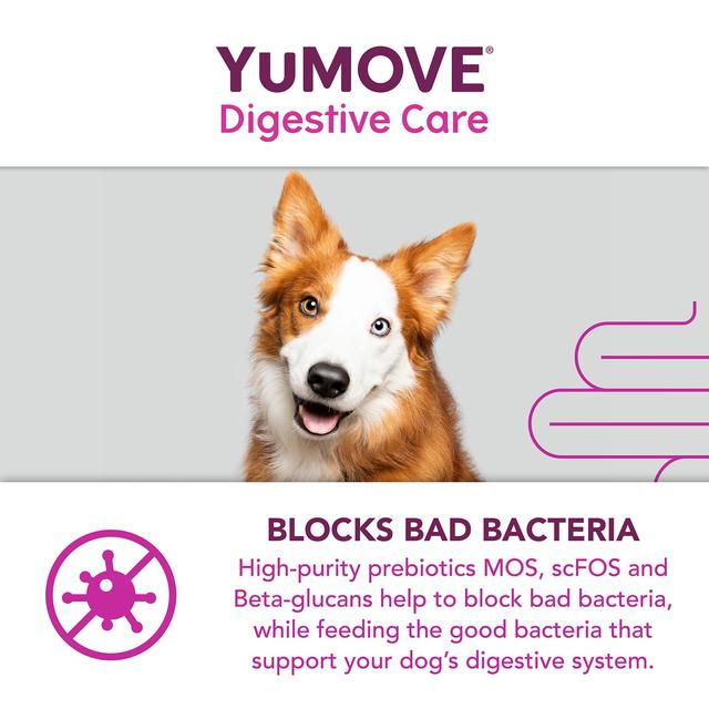 YuMOVE Dog Digestive Health Probiotics Supplement 120 per pack GOODS M&S