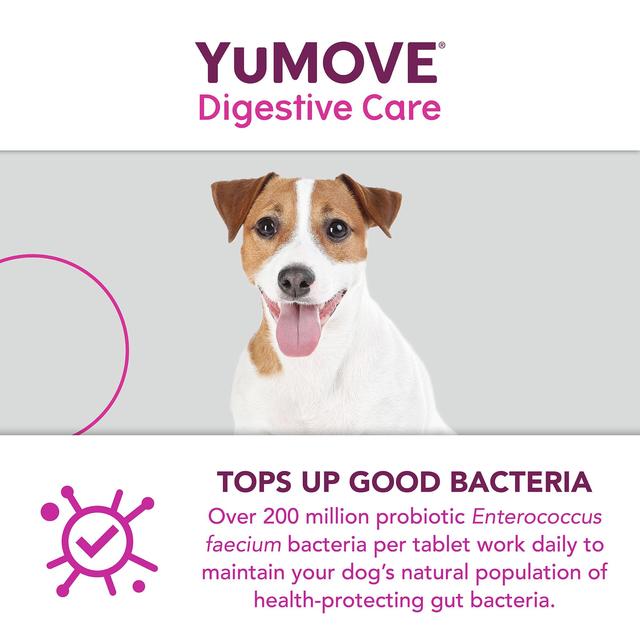 YuMOVE Dog Digestive Health Probiotics Supplement 120 per pack GOODS M&S