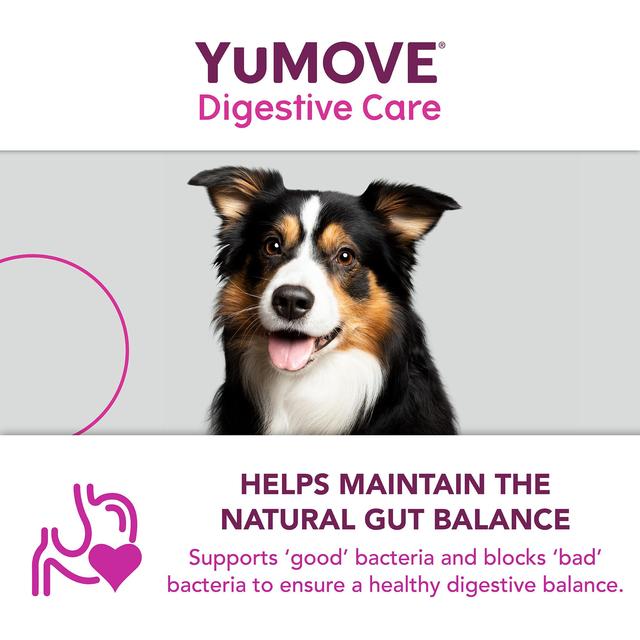 YuMOVE PLUS Dog Digestive Health Supplement 6 per pack GOODS M&S