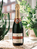 DrinksTime Mercier Brut Champagne