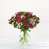 Sweet Williems GOODS Sainsburys