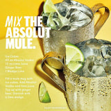 Absolut Blue Original Swedish Vodka   1L - McGrocer