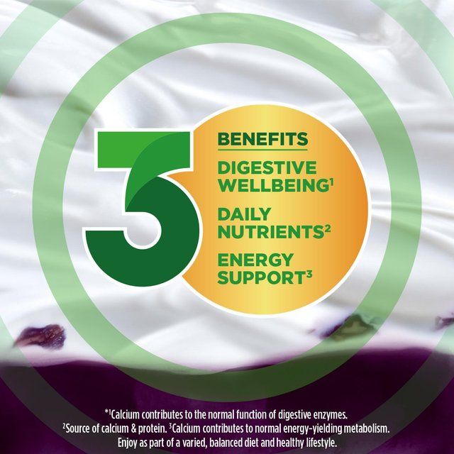 Activia Blueberry Acai Fusions Yoghurt 4 x 120g - McGrocer