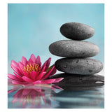 Activity Superstore Mind and Body Relaxation Choice - McGrocer