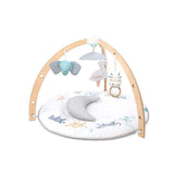 aden + anais™ Play + Discover Activity Gym - McGrocer