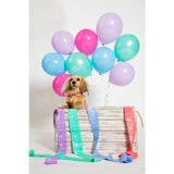 Adios Compostable Dog Poo Bags - Rainbow 60 per pack - McGrocer