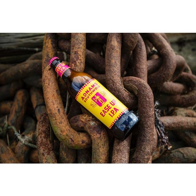 Adnams Ease Up IPA 500ml - McGrocer
