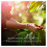 Airwick Botanica Candle Caribbean Vetiver & Sandalwood 205g - McGrocer