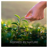 Airwick Botanica Candle Vanilla & Himalaya Magnolia 205g - McGrocer