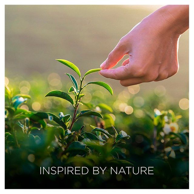 Airwick Botanica Reed Pineapple & Tunisian Rosemary 80ml - McGrocer