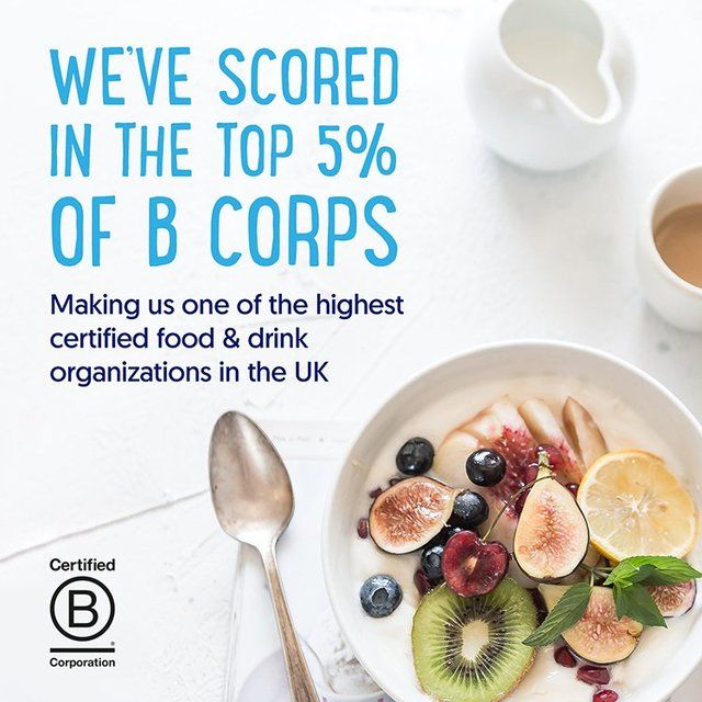 Alpro Blueberry & Cherry Yoghurt Alternative   4 x 125g - McGrocer