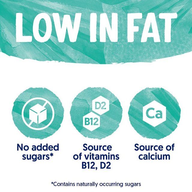 Alpro Coconut Chilled Drink 1L - McGrocer