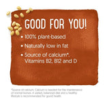 Alpro Smooth Chocolate Dessert 4 x 125g - McGrocer