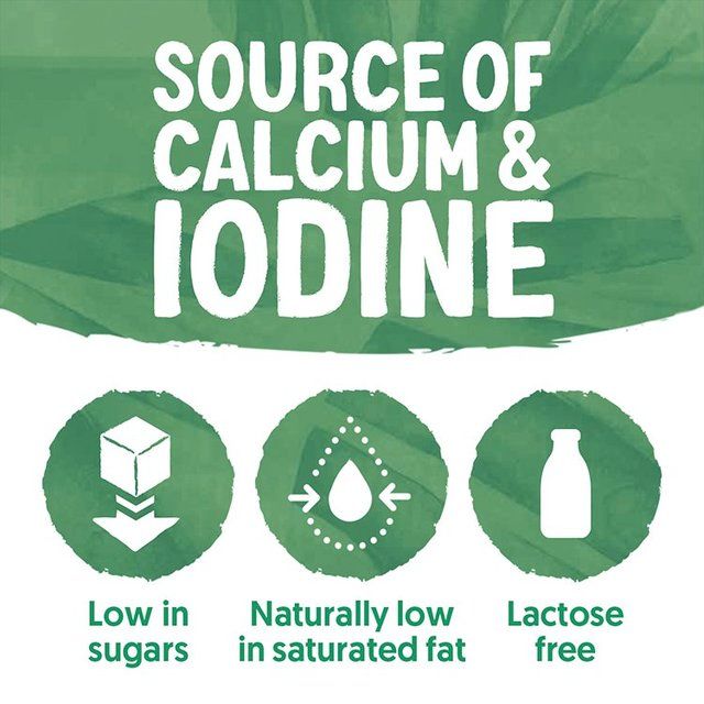 Alpro This Is Not Milk Semi 750ml - McGrocer