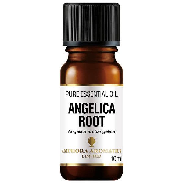 Amphora Aromatics Angelica Root Essential Oil 10ml - McGrocer