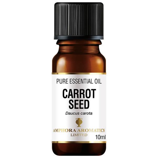 Amphora Aromatics Carrot Seed Essential Oil 10 ml - McGrocer