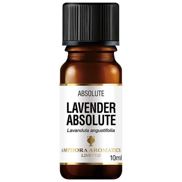 Amphora Aromatics Lavender Absolute Essential Oil 10ml - McGrocer